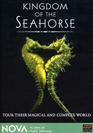 Постер: Kingdom of the Seahorse