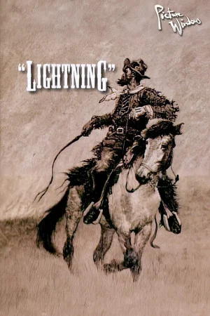 Постер: Picture Windows: Lightning