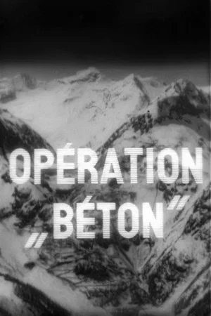 Постер: Operation Concrete