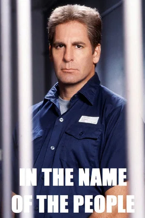 Постер: In the Name of the People