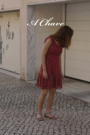 Постер: A Chave
