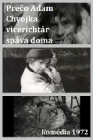 Постер: Adam Chvojka vicerichtár
