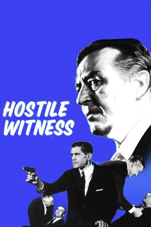 Постер: Hostile Witness