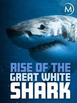 Постер: Rise Of The Great White Shark