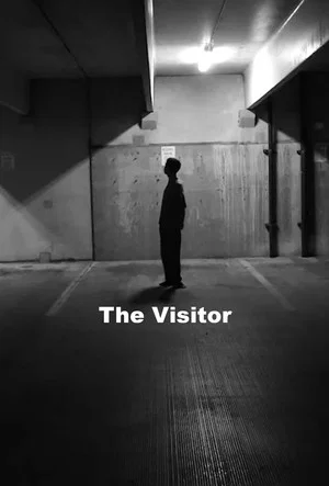 Постер: The Visitor