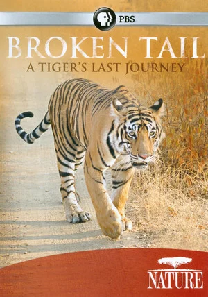 Постер: Broken Tail: A Tiger's Last Journey