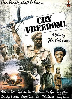 Постер: Cry Freedom