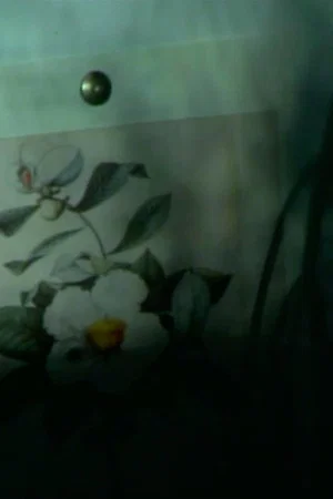 Постер: out of touch (franklinia still life)