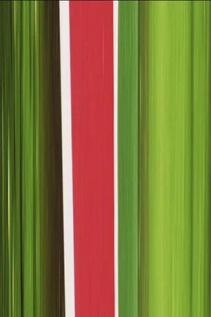 Постер: Heineken