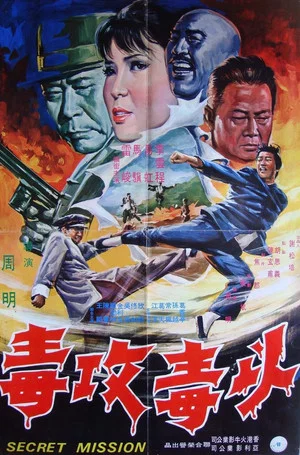 Постер: Secret Mission