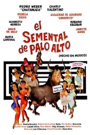 Постер: El semental de Palo Alto