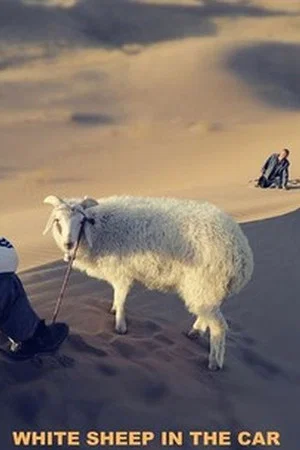 Постер: White Sheep in the Car