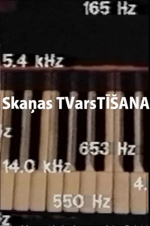 Постер: Skaņas TVarsTĪŠANA