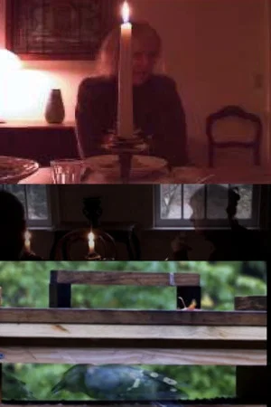 Постер: The Bird Feeders