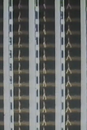Постер: Film Display