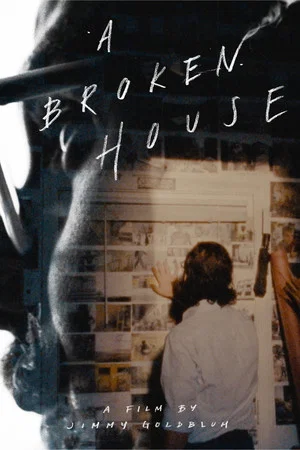 Постер: A Broken House