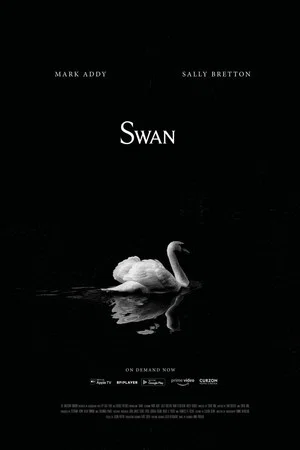 Постер: Swan