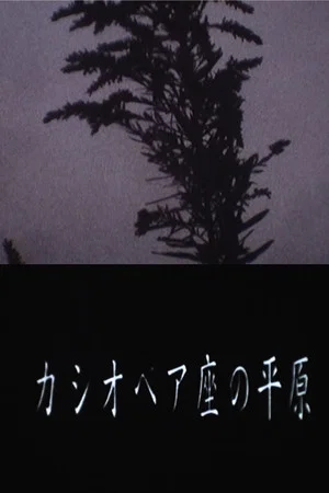 Постер: Cassiopeia Land