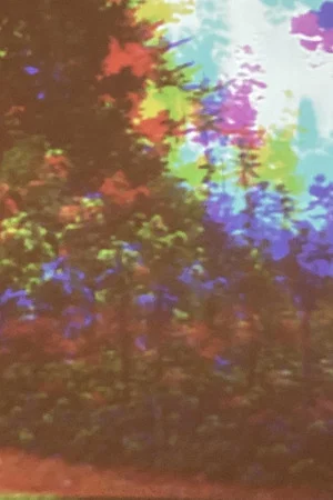 Постер: Oo Fifi, Five Days In Claude Monet's Garden, Part 1