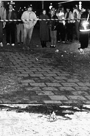 Постер: Murder in Stockholm