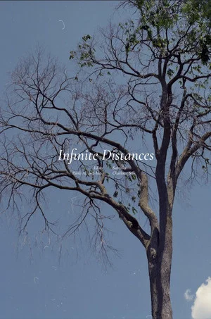 Постер: Infinite Distances