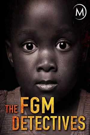 Постер: The FGM Detectives