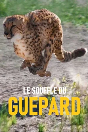 Постер: Le souffle du guépard