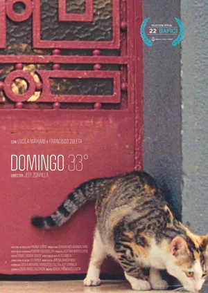 Постер: Domingo 33°