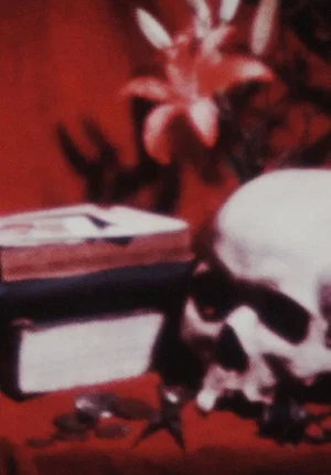 Постер: The Absence Of Filmmaker