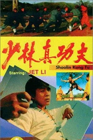 Постер: Shaolin Kung Fu