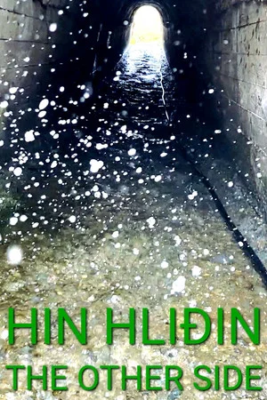 Постер: Hin Hliðin