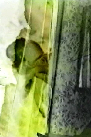 Постер: Outside In