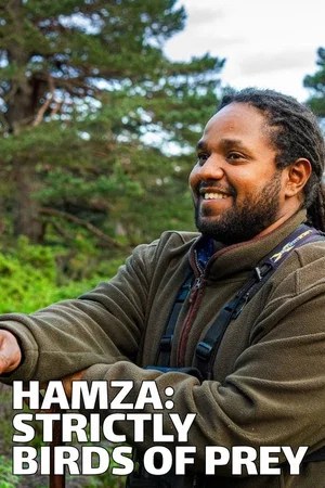 Постер: Hamza: Strictly Birds of Prey
