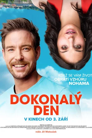 Постер: Dokonalý den