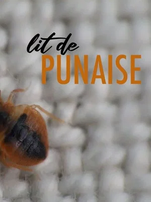 Постер: The Bedbug