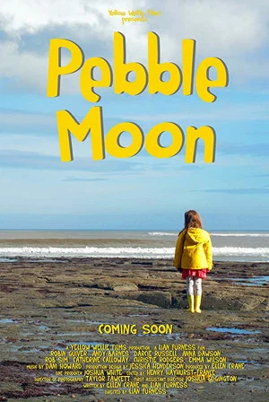 Постер: Pebble Moon