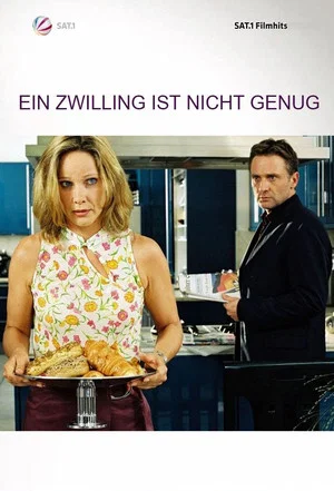 Постер: Ein Zwilling ist nicht genug