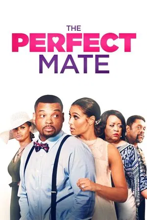 Постер: The Perfect Mate