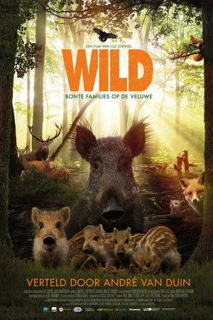 Постер: Wild
