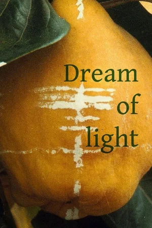 Постер: Dream of Light