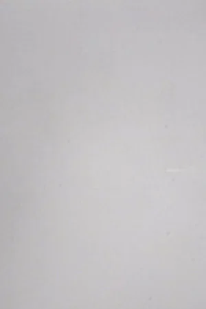 Постер: 24 Frames per Second