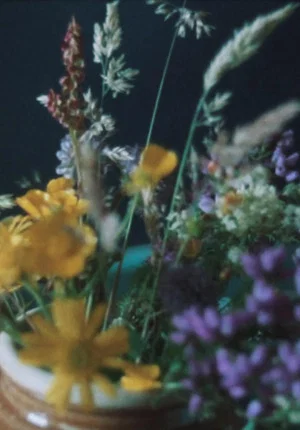 Постер: Glimpses from a Visit to Orkney in Summer 1995