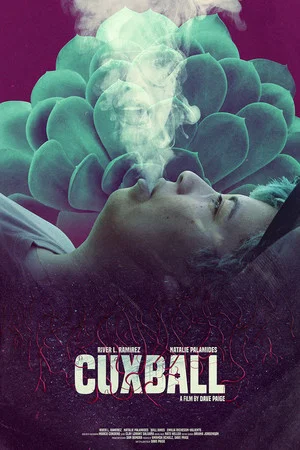 Постер: Cuxball