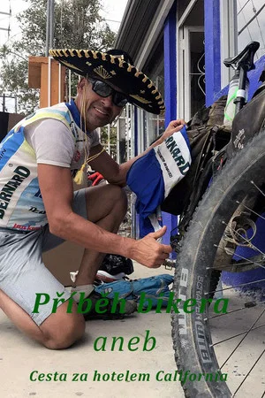 Постер: Příběh bikera aneb Cesta za hotelem California