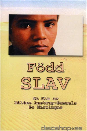 Постер: Born Slave