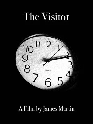 Постер: The Visitor