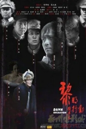 Постер: Dawn Operation