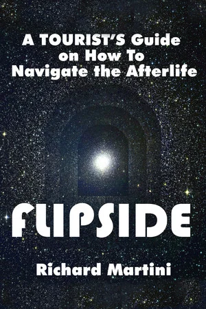 Постер: Flipside: A Journey into the Afterlife