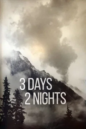 Постер: 3 Days 2 Nights