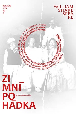 Постер: Zimní pohádka